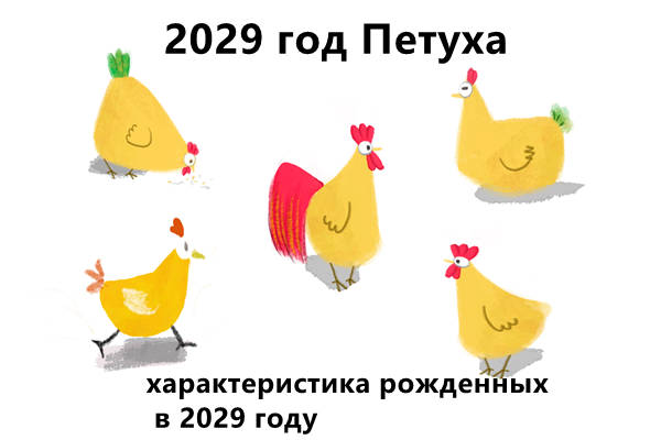 2029 год Петуха